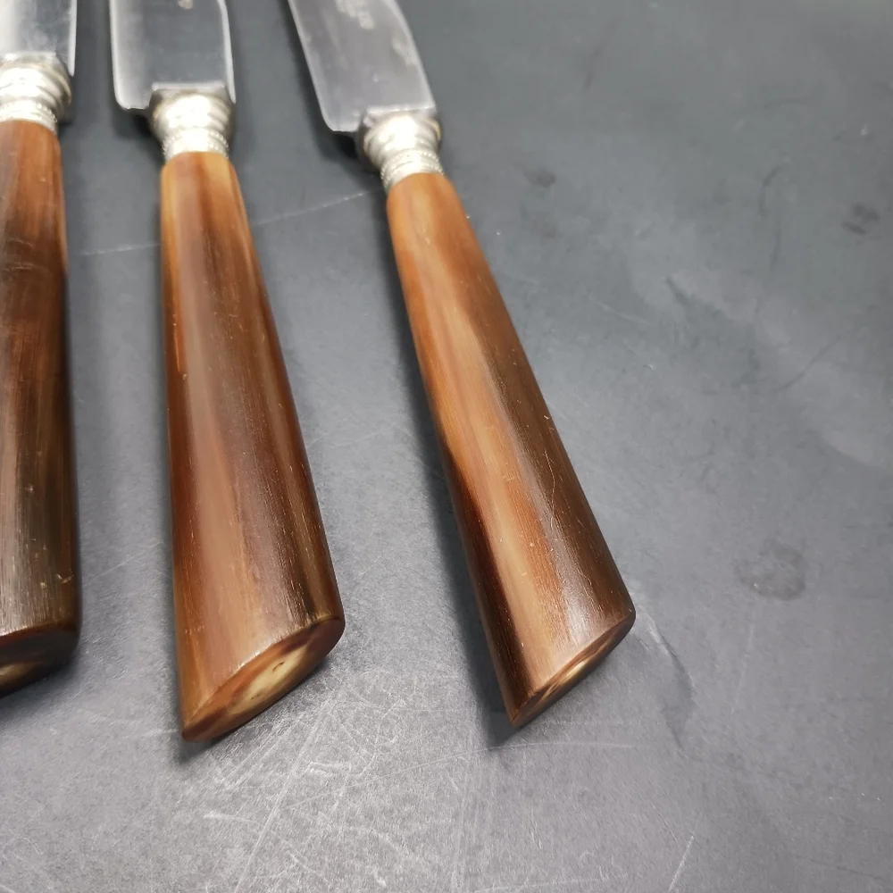 6 Vintage Dutch Antler/Horn Handle Sharp DINNER KNIVES EUC